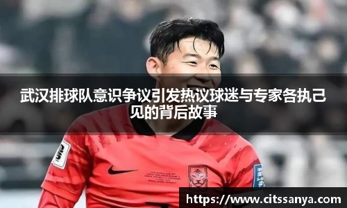 武汉排球队意识争议引发热议球迷与专家各执己见的背后故事